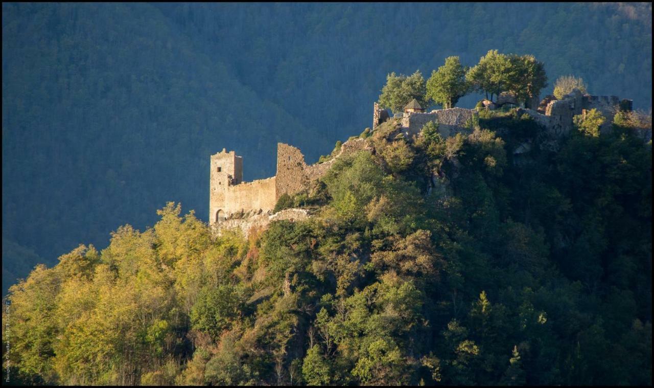 La Forge D'Andribet Villa Axiat Dış mekan fotoğraf